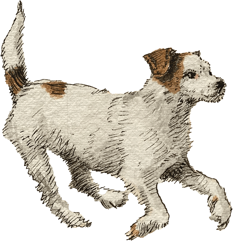 Le chien de William Waterfield, Prickle